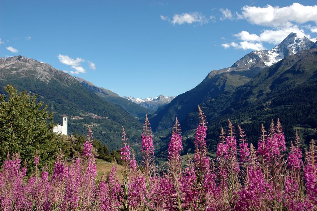 Residence Le Tyrol La Rosiere  Exterior foto